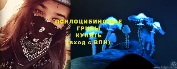 прущий лед Армянск