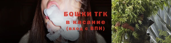 гашик Арсеньев