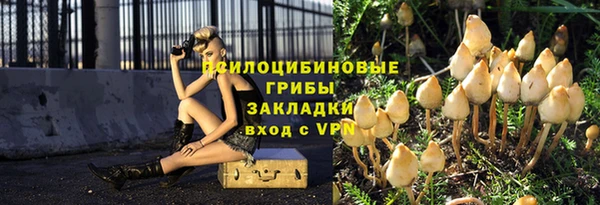 соль ск Нягань