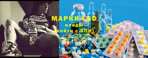 гашик Арсеньев